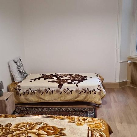 Grand 4P Strasbourg Orangerie 7 Personnes Proche D Allemagne Екстериор снимка