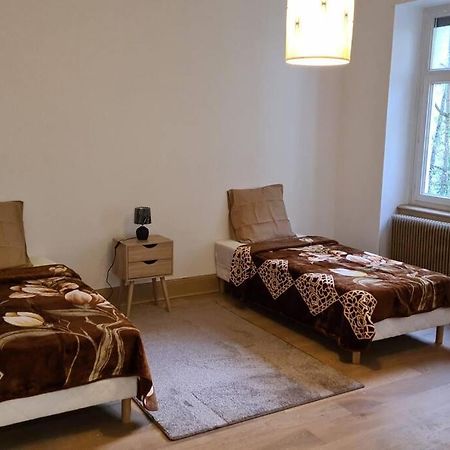 Grand 4P Strasbourg Orangerie 7 Personnes Proche D Allemagne Екстериор снимка