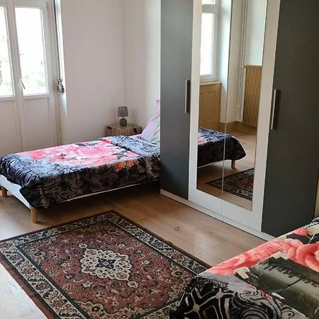 Grand 4P Strasbourg Orangerie 7 Personnes Proche D Allemagne Екстериор снимка