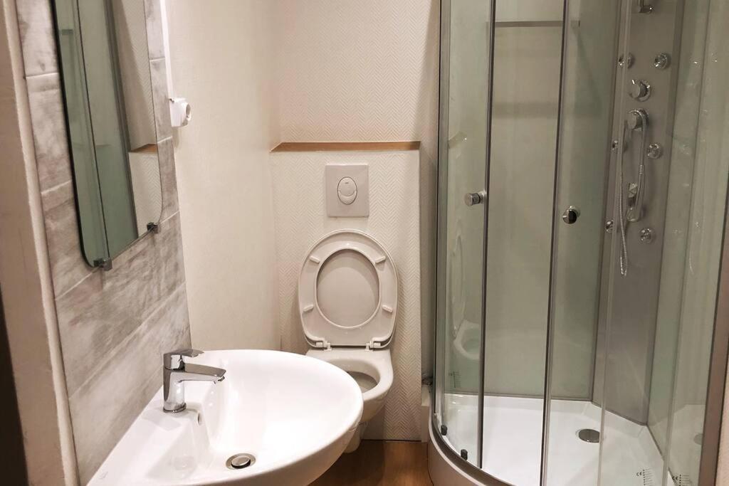 Grand 4P Strasbourg Orangerie 7 Personnes Proche D Allemagne Екстериор снимка