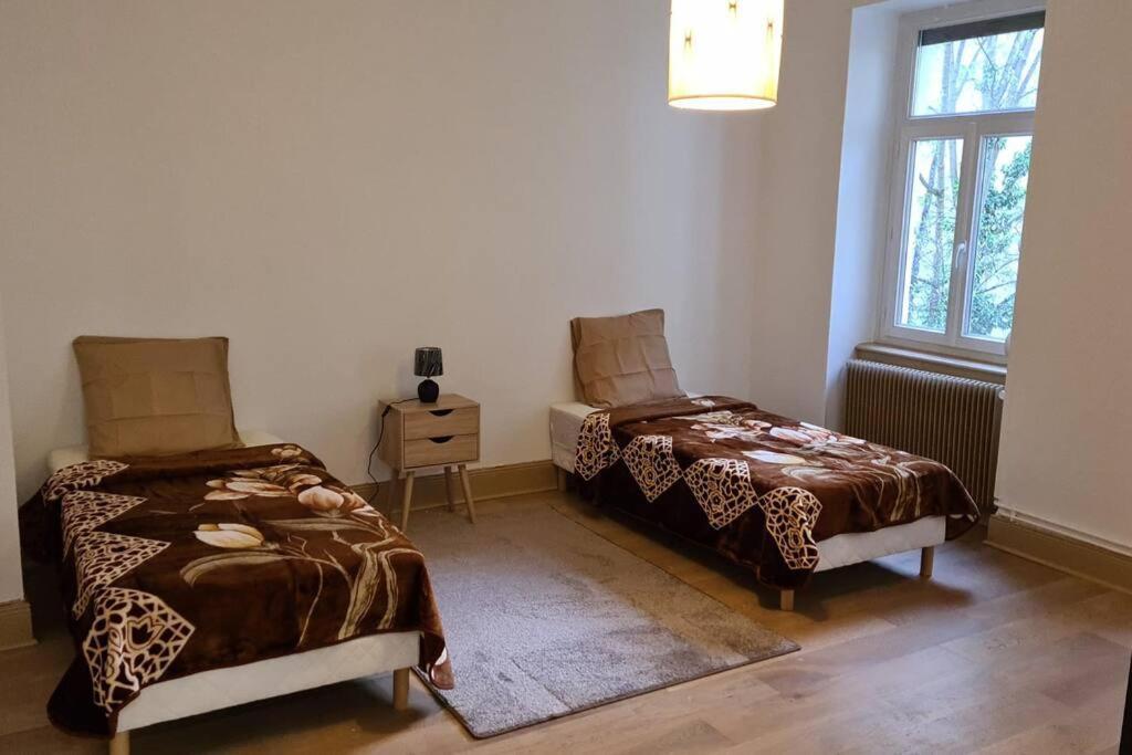 Grand 4P Strasbourg Orangerie 7 Personnes Proche D Allemagne Екстериор снимка